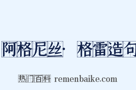 阿格尼丝·格雷造句是什么意思的图片